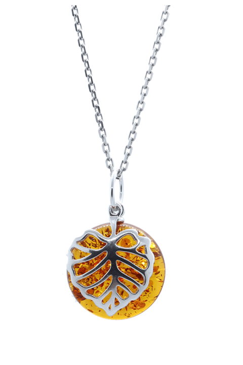 Collier Pendentif En Cire De Miel Et Ambre - Bijou Fantaisie Coquillage Plante Pour Femme